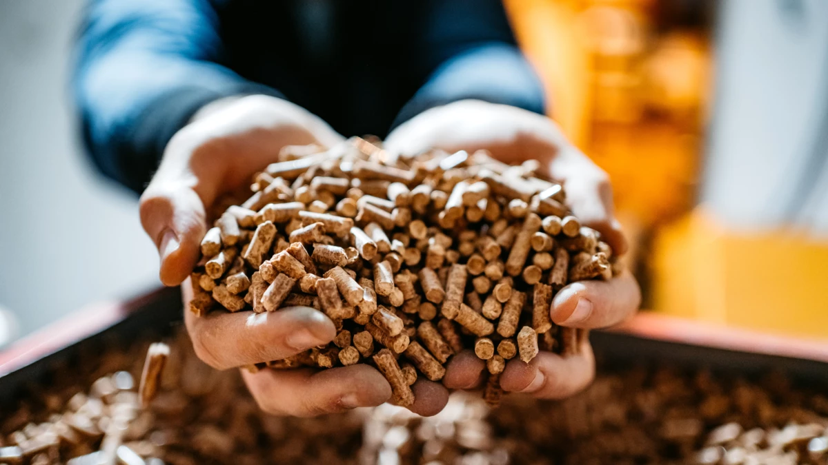 Can I use wood Pellets for Cat Litter?