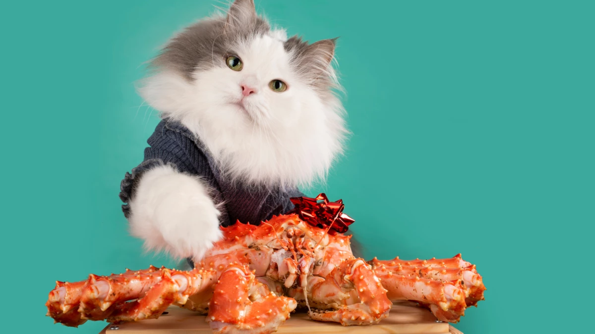 can cats eat crab? Everything You Need to Know